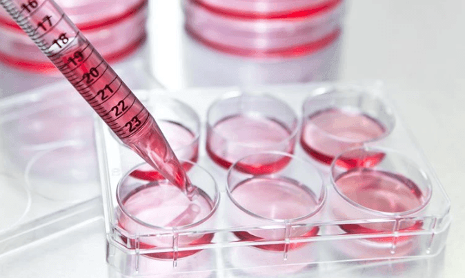 Bioequivalence and Bioavailability Testing
